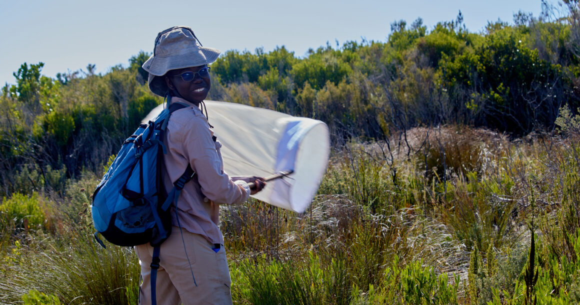 Kgomotso´s Internship Experience