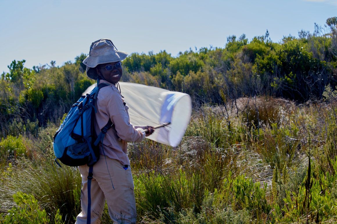 Kgomotso´s Internship Experience