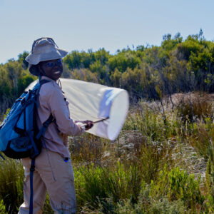 Kgomotso´s Internship Experience