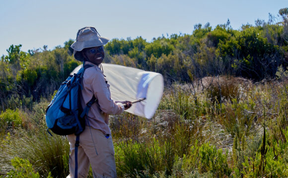 Kgomotso´s Internship Experience